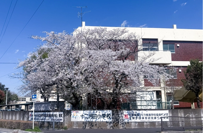 十二月田小学校 【通学校】 （徒歩3分／約220m）