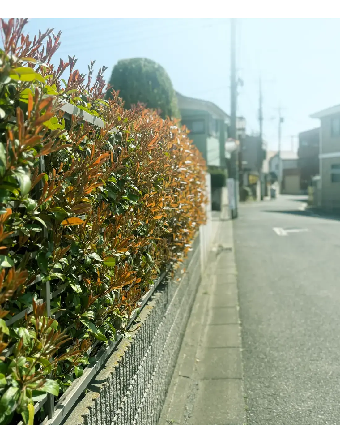 現地周辺の街並み（徒歩2分／約120m）