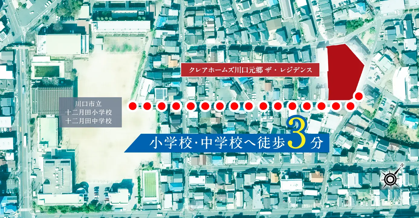航空写真