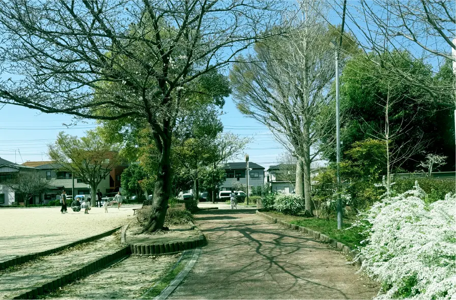 image photo