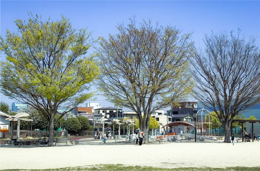 image photo