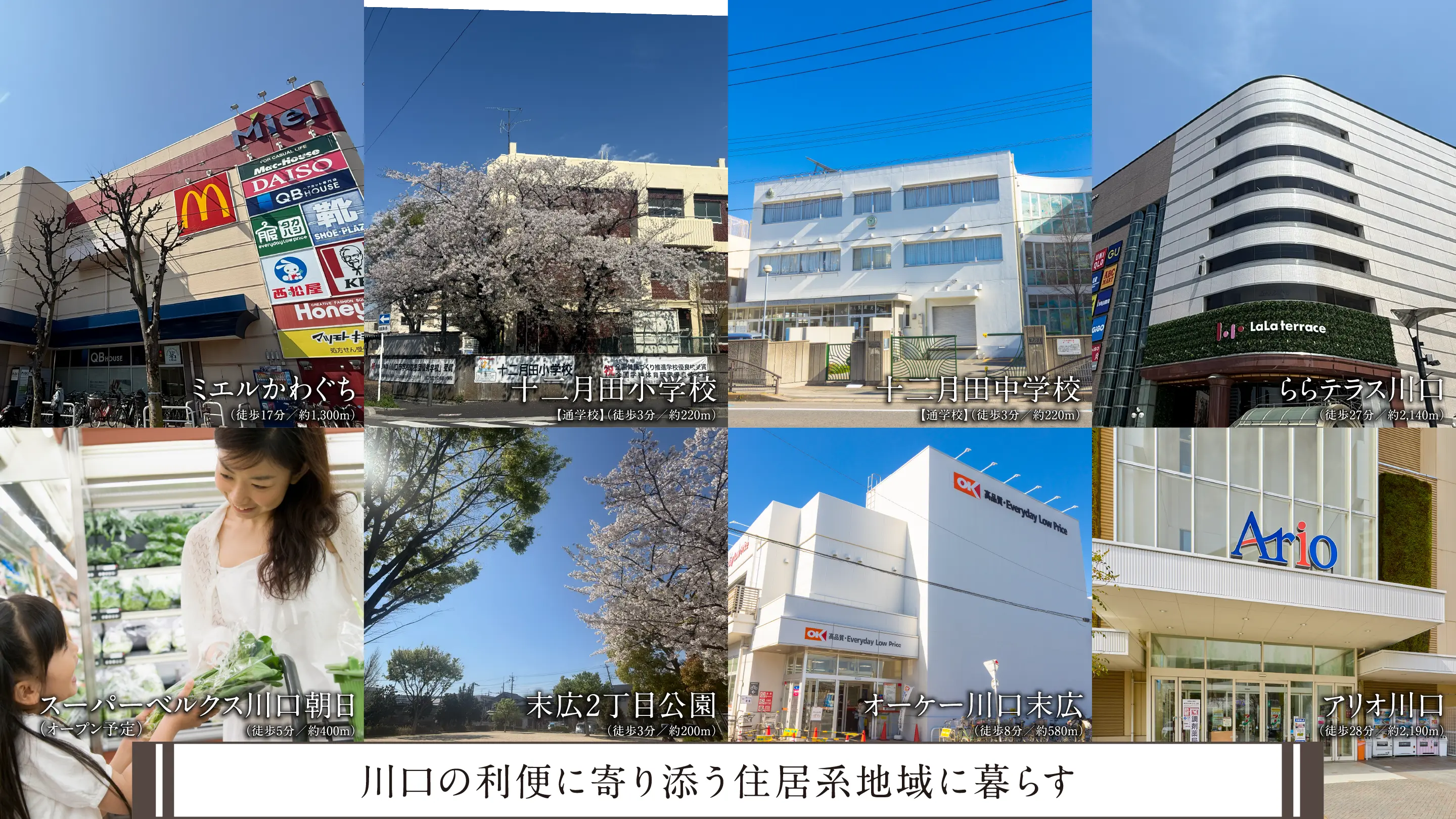 image photo
