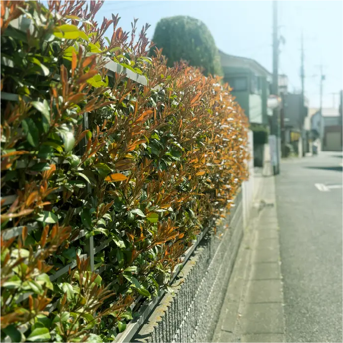 オーケー 川口末広店（徒歩8分／約580m）
